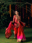 Anari